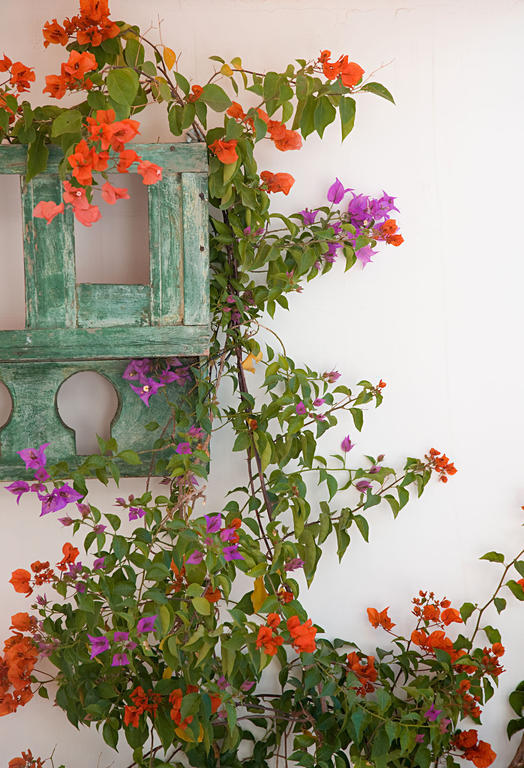 Riad Le J มาร์ราเกช ภายนอก รูปภาพ